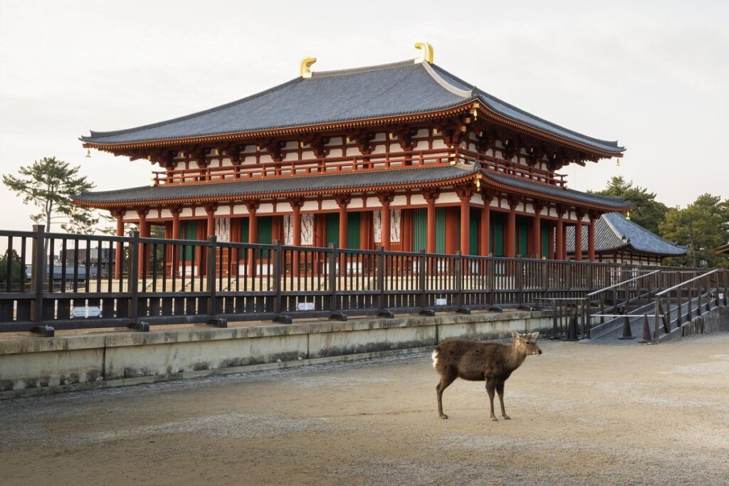 Nara Park Kofuku ji Temple Visit Kofuku-ji Temple - a day in Nara Park