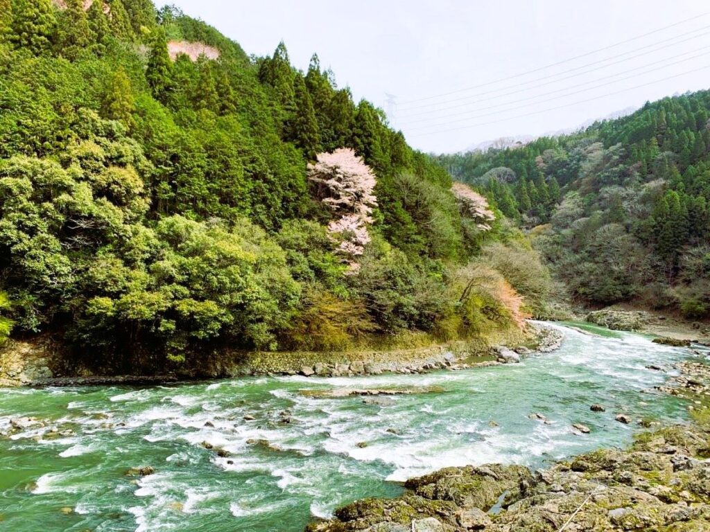 Sagano Romantic Train view