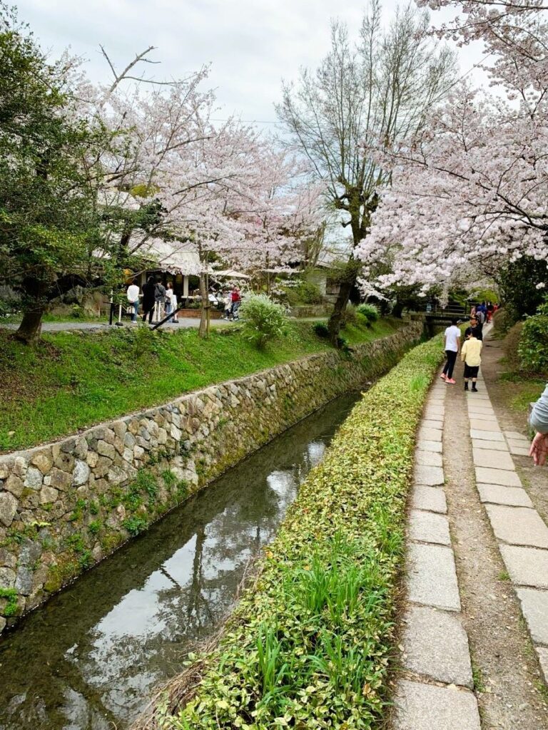 Day trip to kyoto Philosopher's Path