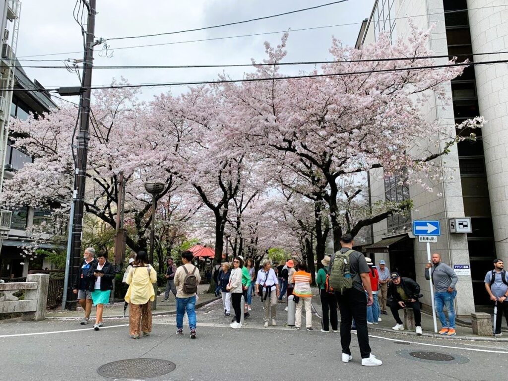 Day trip to Kyoto