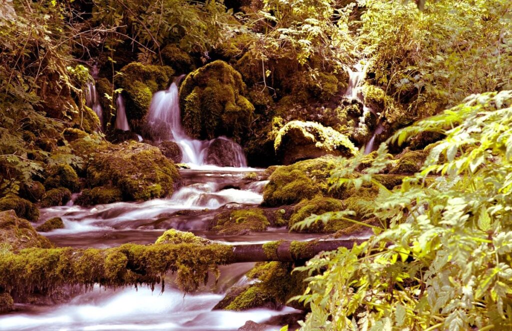 Serbia Tara National Park Serbia travel guide is not complete without the Tara National Park