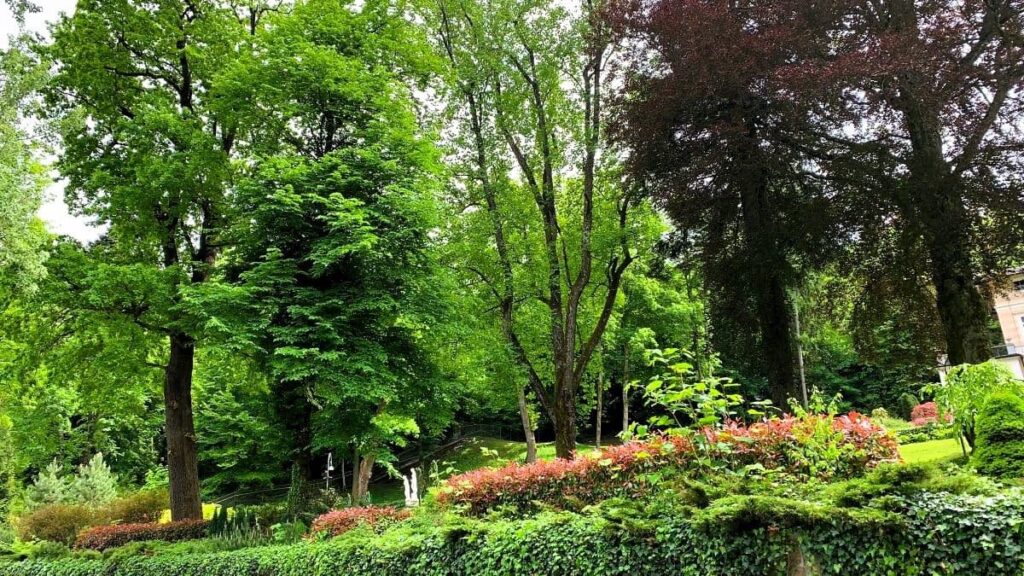 Stunning greenery around the lake