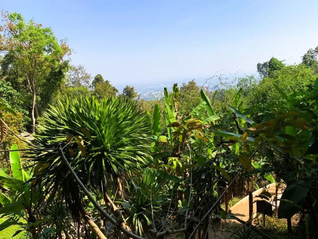 Chiang Mai Wat Pha Lat at Mount Doi Suthep Wat Pha Lat Mount Doi Suthep for Travel Chiang Mai Thailand