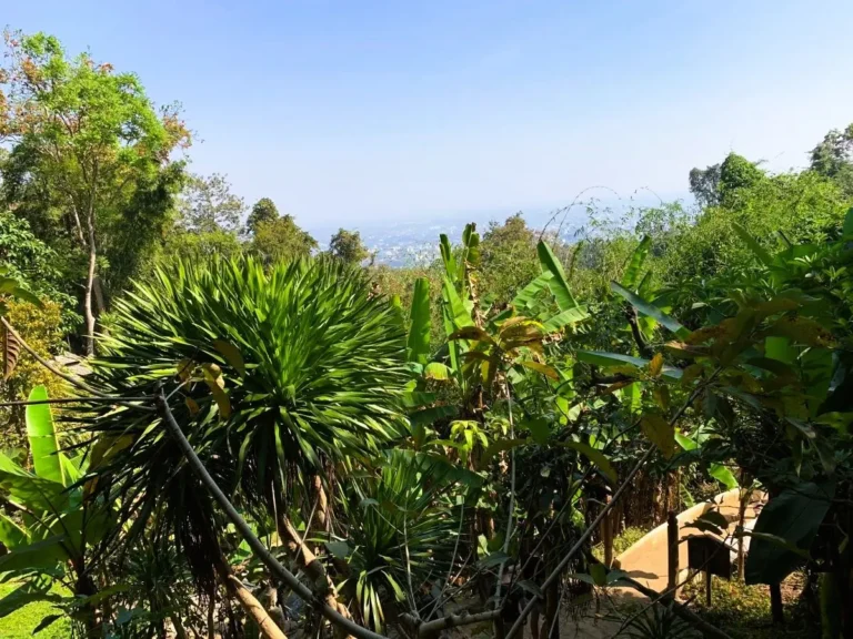 Wat Pha Lat Mount Doi Suthep for Travel Chiang Mai Thailand