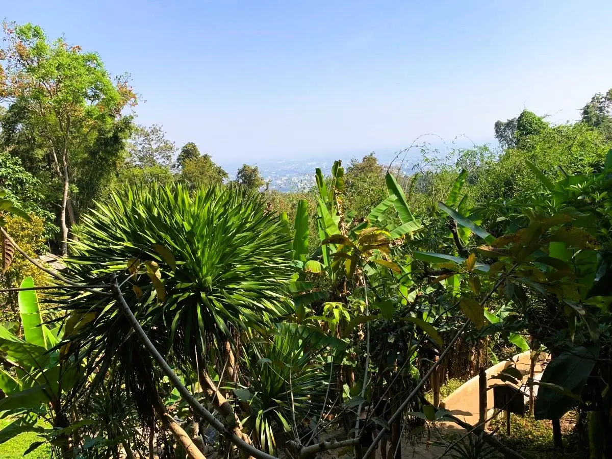 Wat Pha Lat Mount Doi Suthep for Travel Chiang Mai Thailand